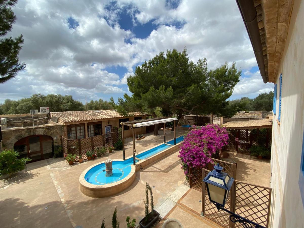 Sa Canova Séjour à la ferme Campos (Mallorca)
