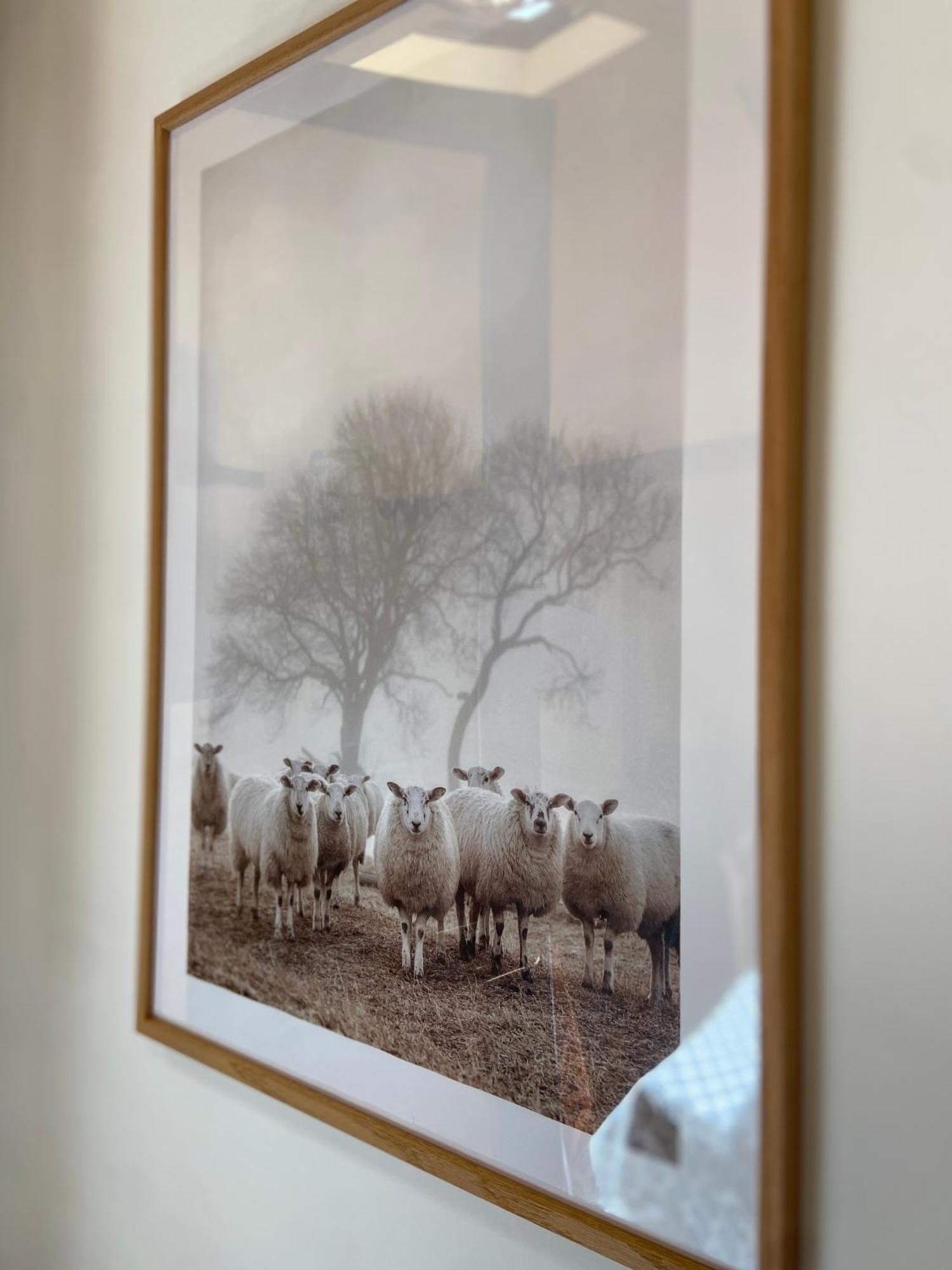 Séjour à la ferme Sa Canova