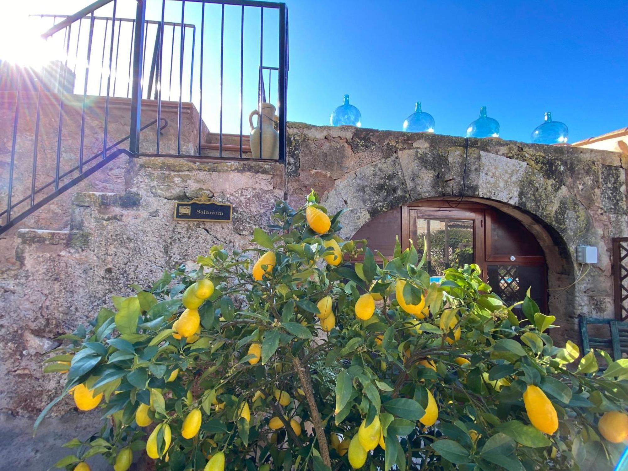 Sa Canova Agroturismo Campos (Mallorca)